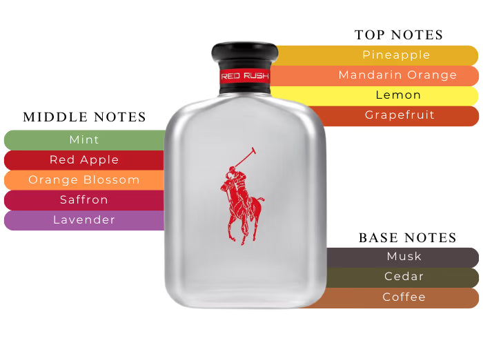 Polo Red Rush by Ralph Lauren Eau De Toilette Spray 6.7 oz (Men)